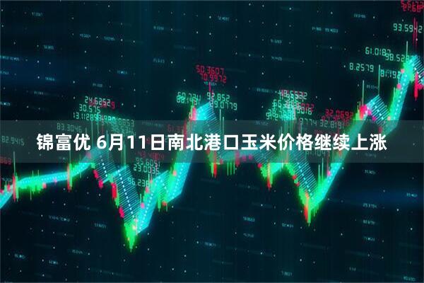 锦富优 6月11日南北港口玉米价格继续上涨