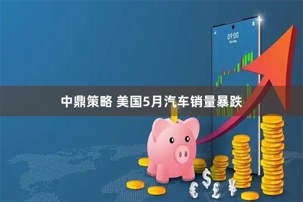 中鼎策略 美国5月汽车销量暴跌