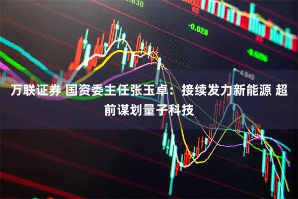 万联证券 国资委主任张玉卓：接续发力新能源 超前谋划量子科技