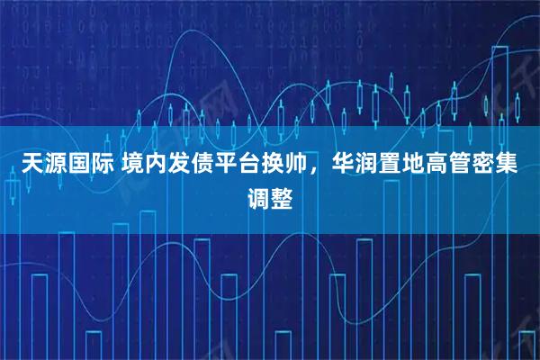 天源国际 境内发债平台换帅，华润置地高管密集调整